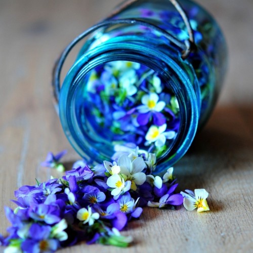 Petals-Jars-Purple-1280x1280